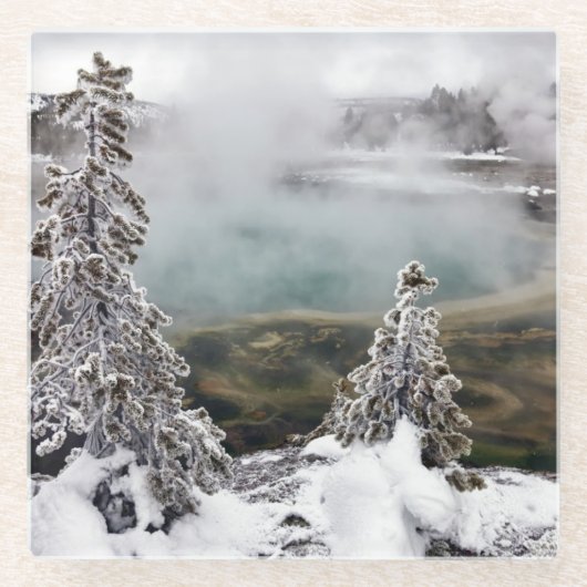 Snowy Yellowstone Glasuntersetzer (Vorderseite)