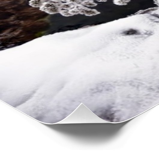 Snowy Yellowstone Poster (Ecke)