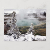 Snowy Yellowstone Postkarte (Vorderseite)