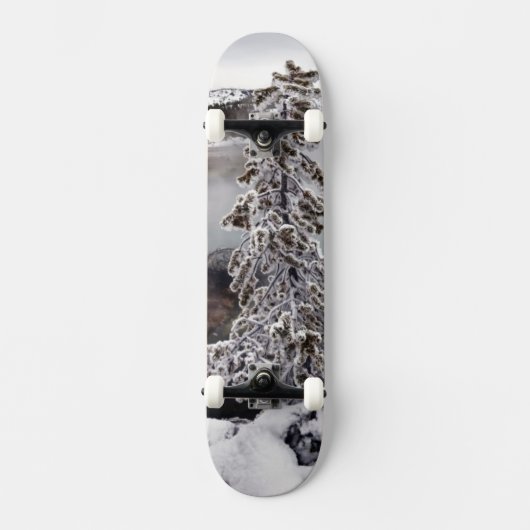 Snowy Yellowstone Skateboard (Vorderseite)
