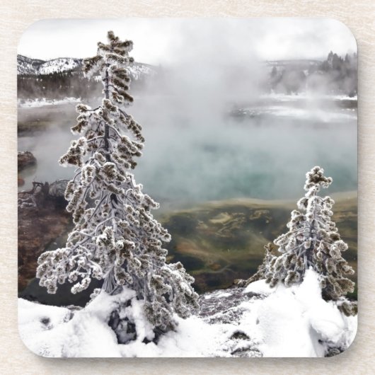 Snowy Yellowstone Untersetzer (Vorderseite)