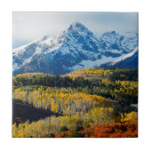 Snowyberg u. -bäume fliese (Vorderseite)