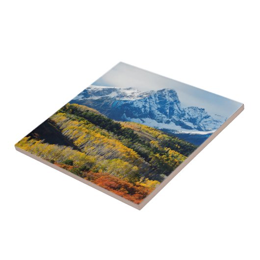 Snowyberg u. -bäume fliese (Seite)