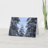 SnowyPines Dankeskarte (Vorderseite)