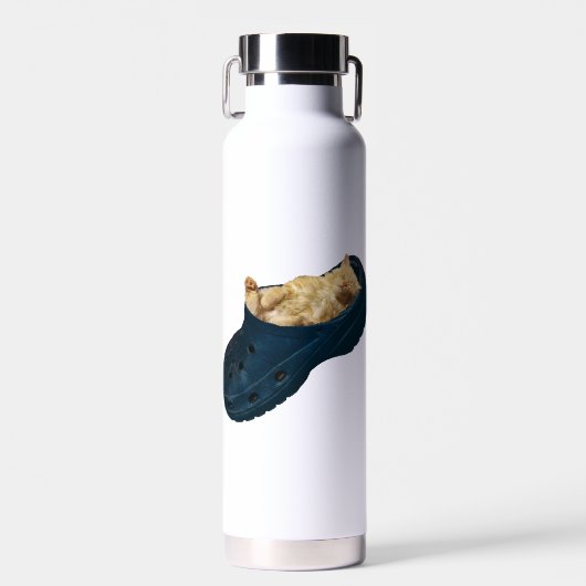 "Snug as a Bug: The Kitten's Croc Nickerchen" Trinkflasche (Vorne)