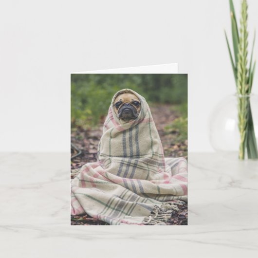 Snug as a Pug in a Rug Card Karte (Vorderseite)