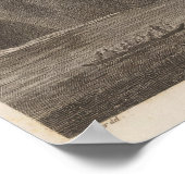 Snug Corner Cove, Alaska Poster (Ecke)