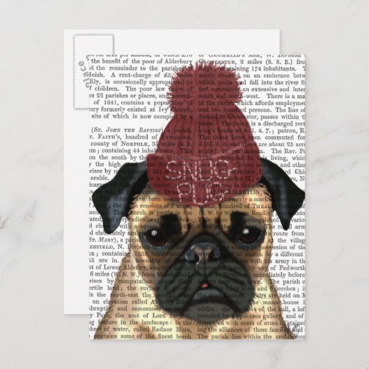 Snug Mops Postkarte (Vorne/Hinten)