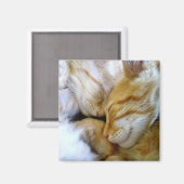 Snugggle Kittens Magnet (Vorderseite/Rückseite)