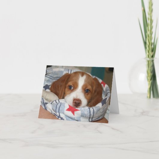 Snuggle Brittany Puppy Notecard Karte (Vorderseite)