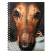 Snuggle Bugs MacKenzie Notizblock (Vorderseite)