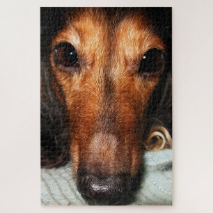 Snuggle Bugs MacKenzie Puzzle