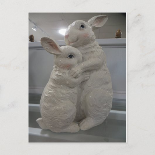 Snuggle Bunnies Postkarte (Vorderseite)