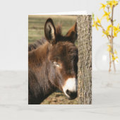 Snuggle Karte (Gelbe Blume)