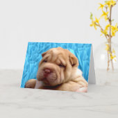 Snuggle Me Greeting Card Karte (Gelbe Blume)