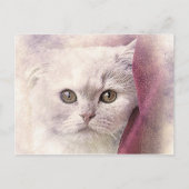 Snuggle Time Kitty | ABSTRAKT | Wasserfarbe Postkarte (Vorderseite)