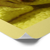 Snuggled Chihuahua Puppy Poster (Ecke)