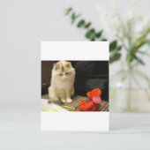 Snuggler meows "glücklicher Valentinstag! " Feiertagspostkarte (Stehend Vorderseite)