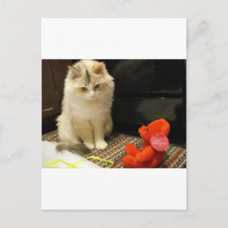 Snuggler meows "glücklicher Valentinstag! " Feiertagspostkarte