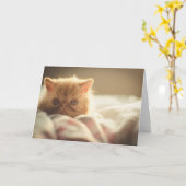 Snuggley Persian Kitts Karte (Gelbe Blume)