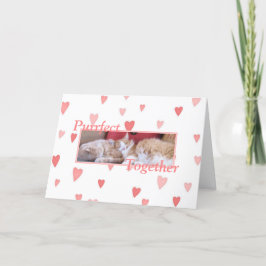 Snuggling cats Valentine's Day card Feiertagskarte