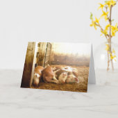 Snuggling Schweine Getty Bild-| Karte (Gelbe Blume)