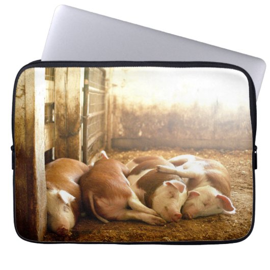 Snuggling Schweine Getty Bild-| Laptopschutzhülle (Vorderseite)