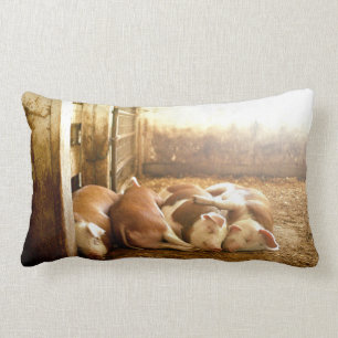 Snuggling Schweine Getty Bild-  Lendenkissen