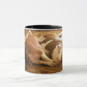 Snuggling Schweine Getty Bild-| Tasse (Zentrum)