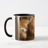 Snuggling Schweine Getty Bild-| Tasse (Links)
