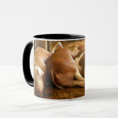 Snuggling Schweine Getty Bild-| Tasse (Vorderseite Links)