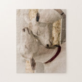 Snuggling Ziegen Puzzle (Vertikal)