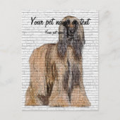 So Beautiful, Afghan Hound Dog Postkarte (Vorderseite)