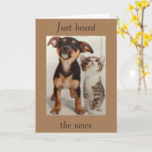 SO "COOL", DASS SIE SICH EINSTELLEN *18* KARTE (Gelbe Blume)