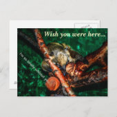 So einsam ohne dich postkarte (Vorne/Hinten)