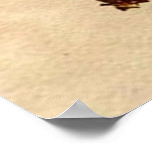 So erstellen Sie eine Tür Poster (Ecke)