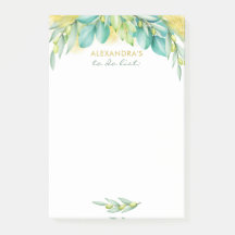 So führen Sie die Eukalyptus-Blätter für Olivenzwe