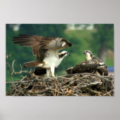 So funktionieren diese Dinge Poster (Vorne)