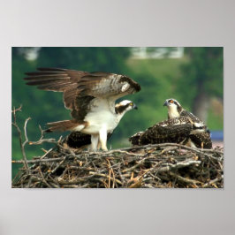 So funktionieren diese Dinge Poster