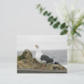 So Funny Tilhead Seagull Postkarte (Stehend Vorderseite)