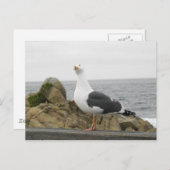 So Funny Tilhead Seagull Postkarte (Vorne/Hinten)