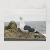 So Funny Tilhead Seagull Postkarte (Vorderseite)