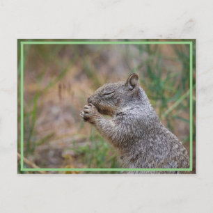 So geil!!!! postkarte