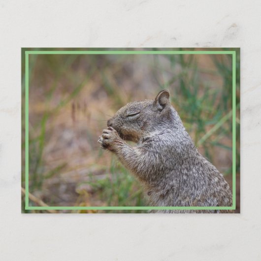 So geil!!!! postkarte (Vorderseite)