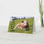 SO GLÜCKLICH UND WOLL, IHNEN ZU GRATULIEREN KARTE (Vorderseite)