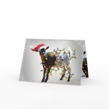 SO Gute Weihnachtsziege