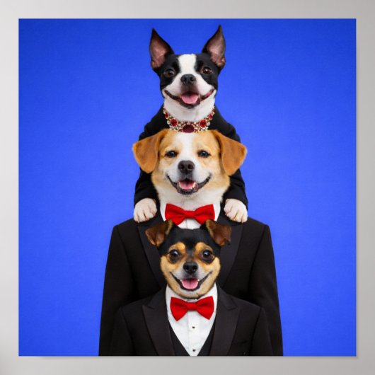 "So Happy Together" Poster (Vorne)