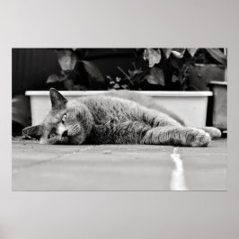 So langweilig... poster