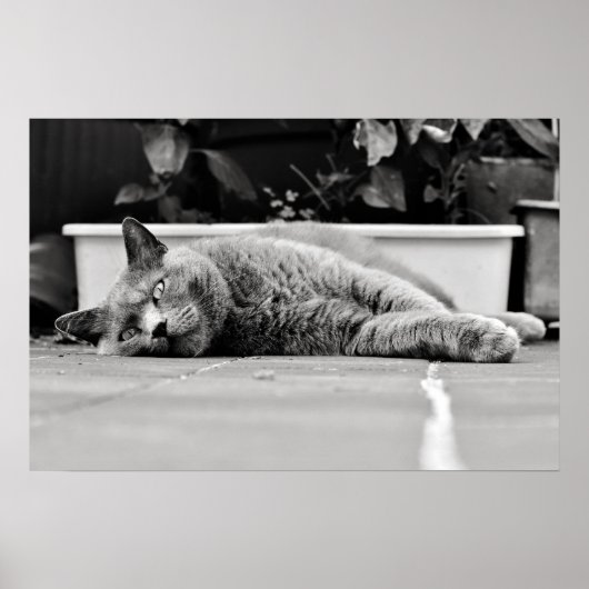 So langweilig... poster (Vorne)