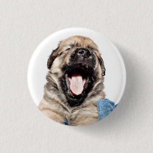 so müde button
